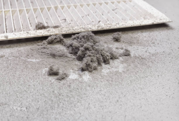 Best HVAC Air Duct Cleaning  in Marissa, IL