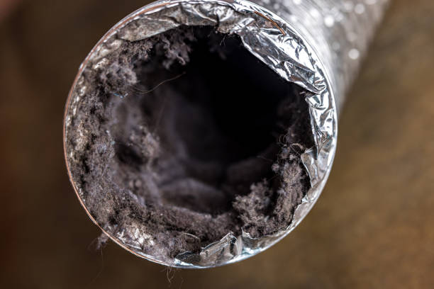 Best Local Air Duct Cleaning Services  in Marissa, IL
